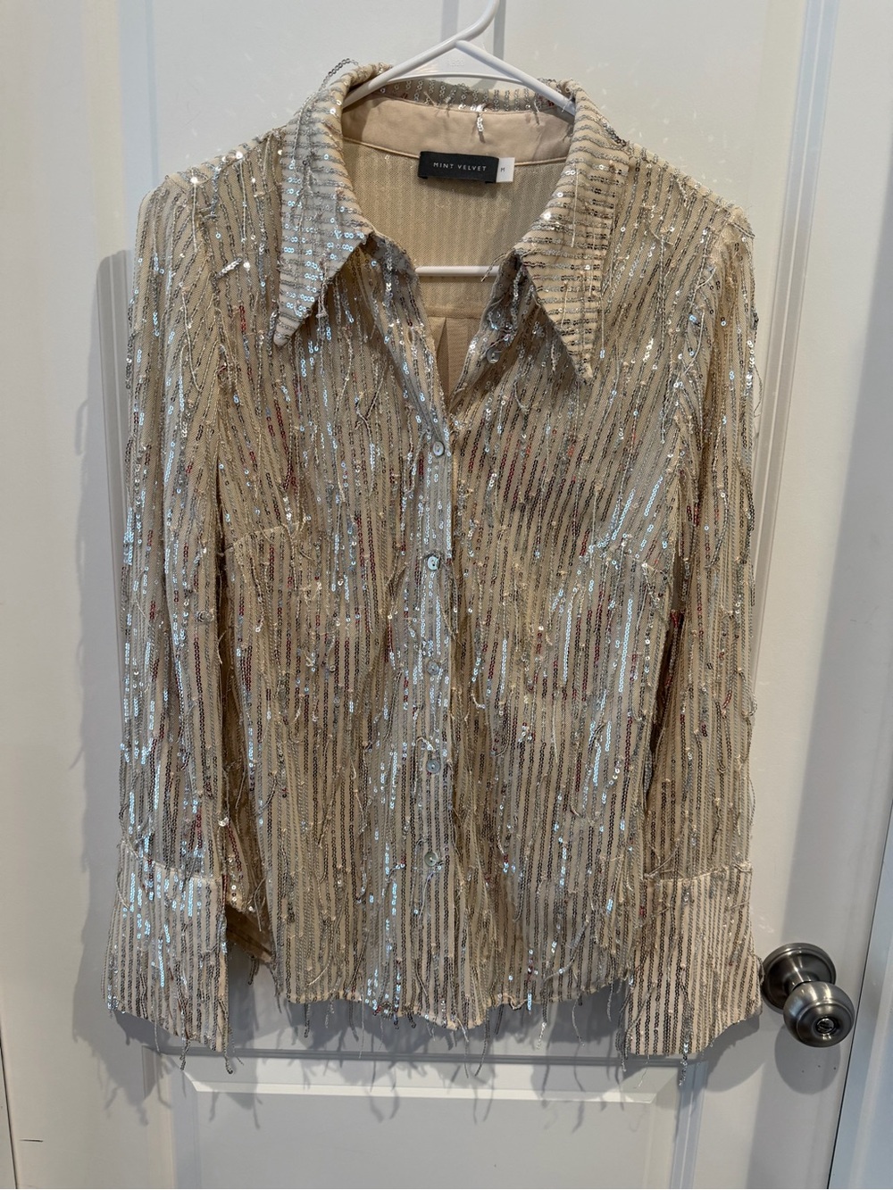Mint Velvet Sequin Fringe Top Size Medium Read Description